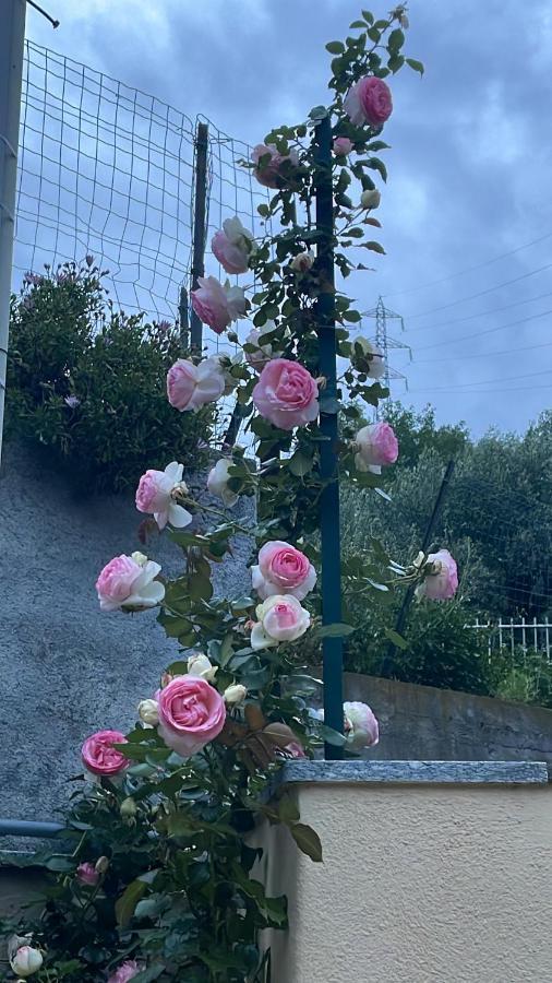 Gli Agrumi Giustenice Exterior foto